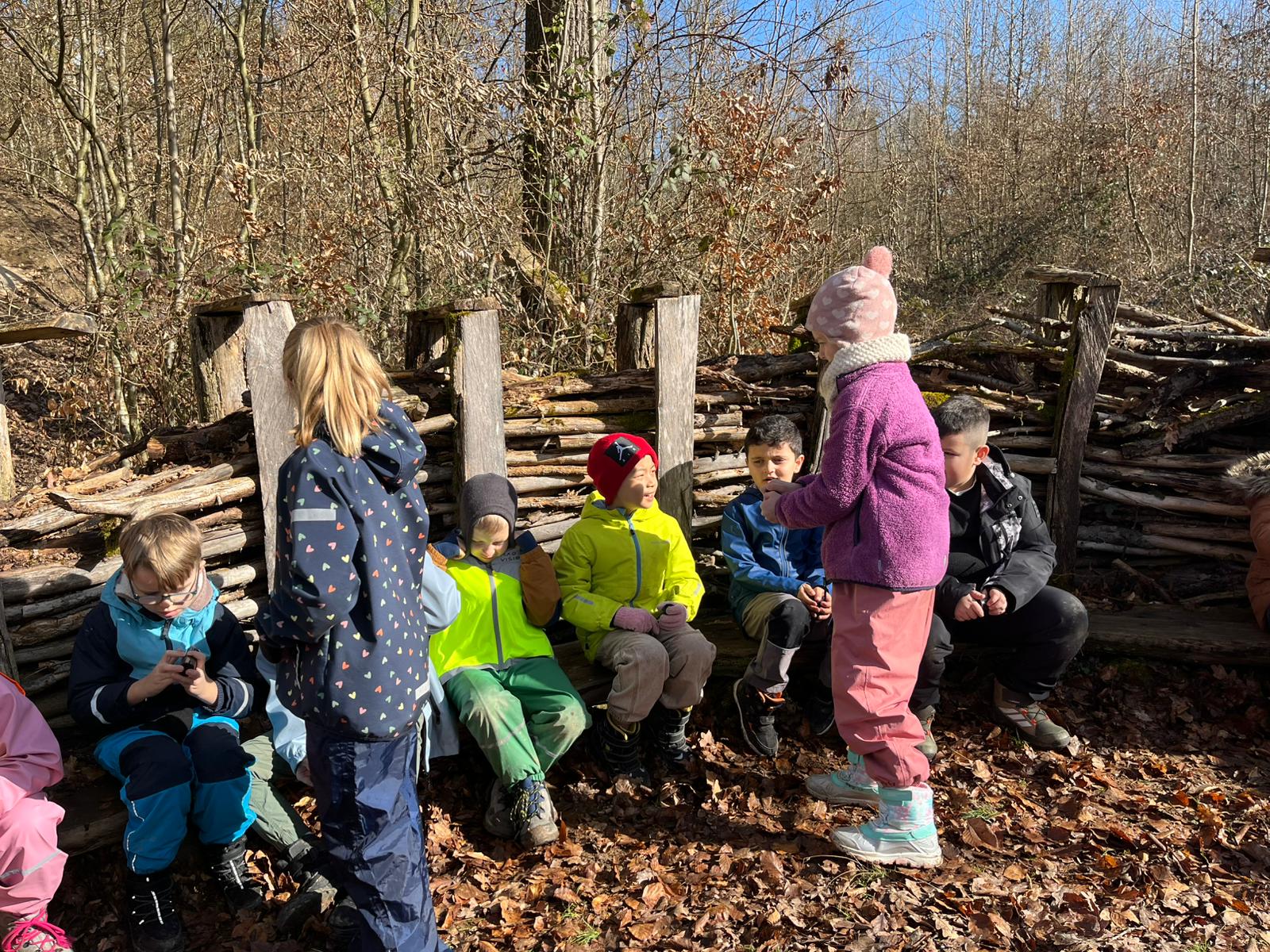 Frühling im Wald