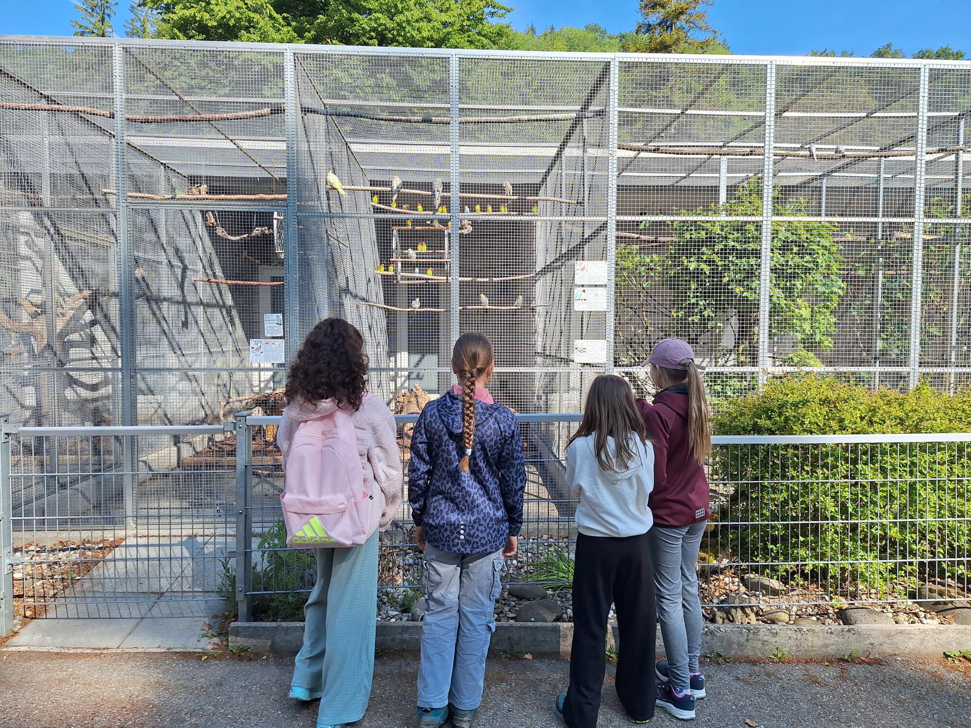 Tierpark Zurzach/Treffen der Brieffreunde