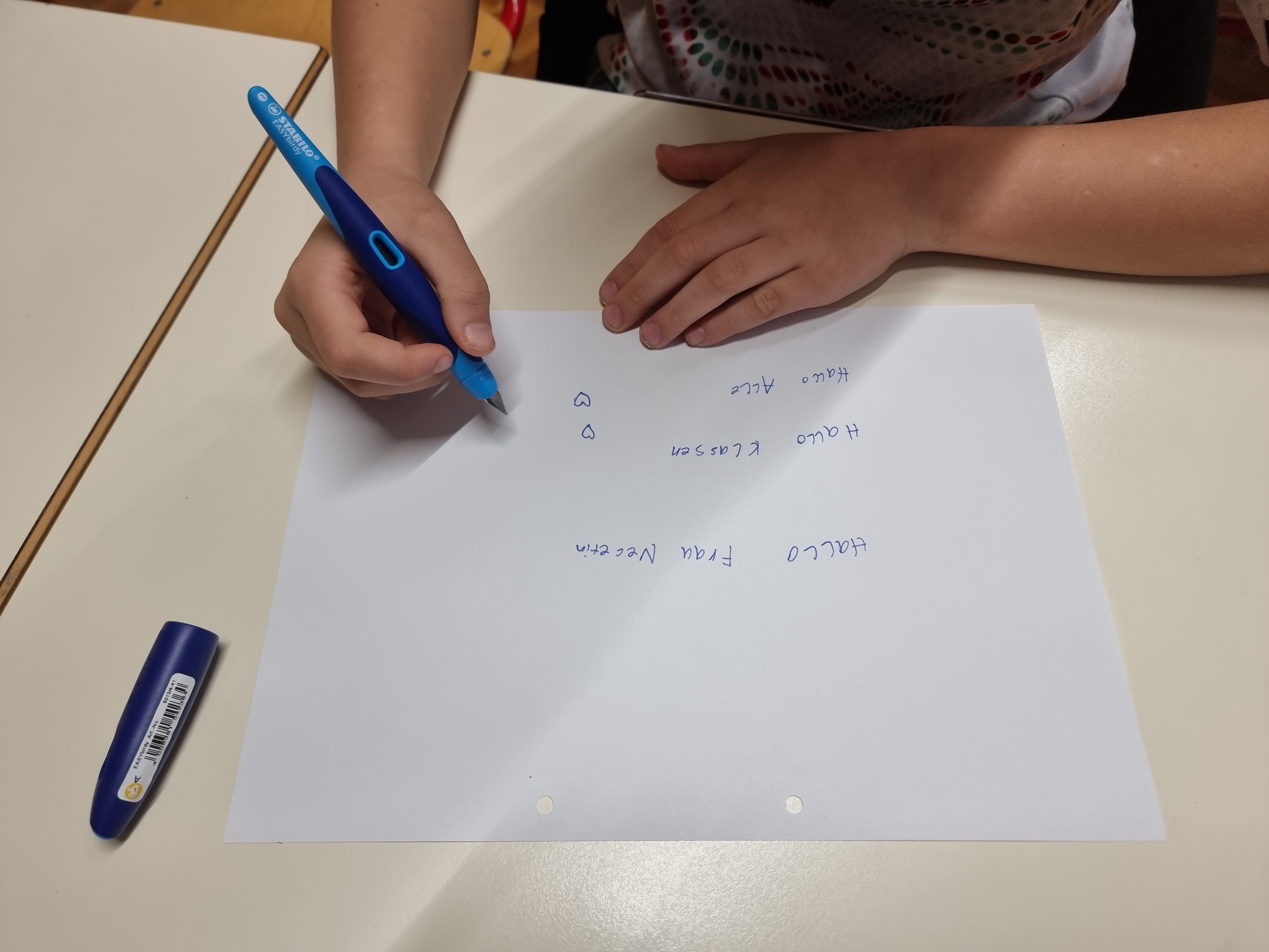 Füllerführerschein