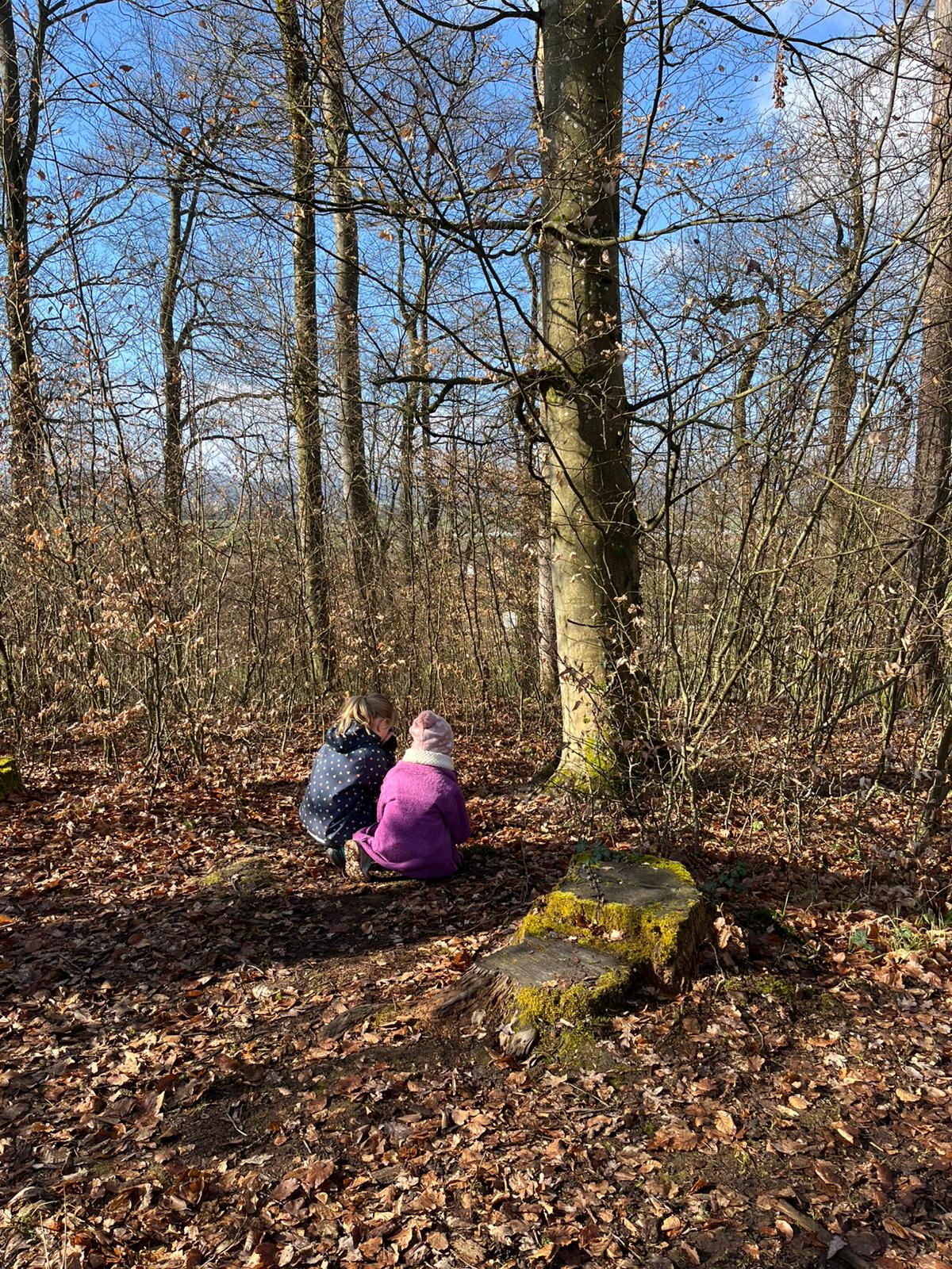 Frühling im Wald