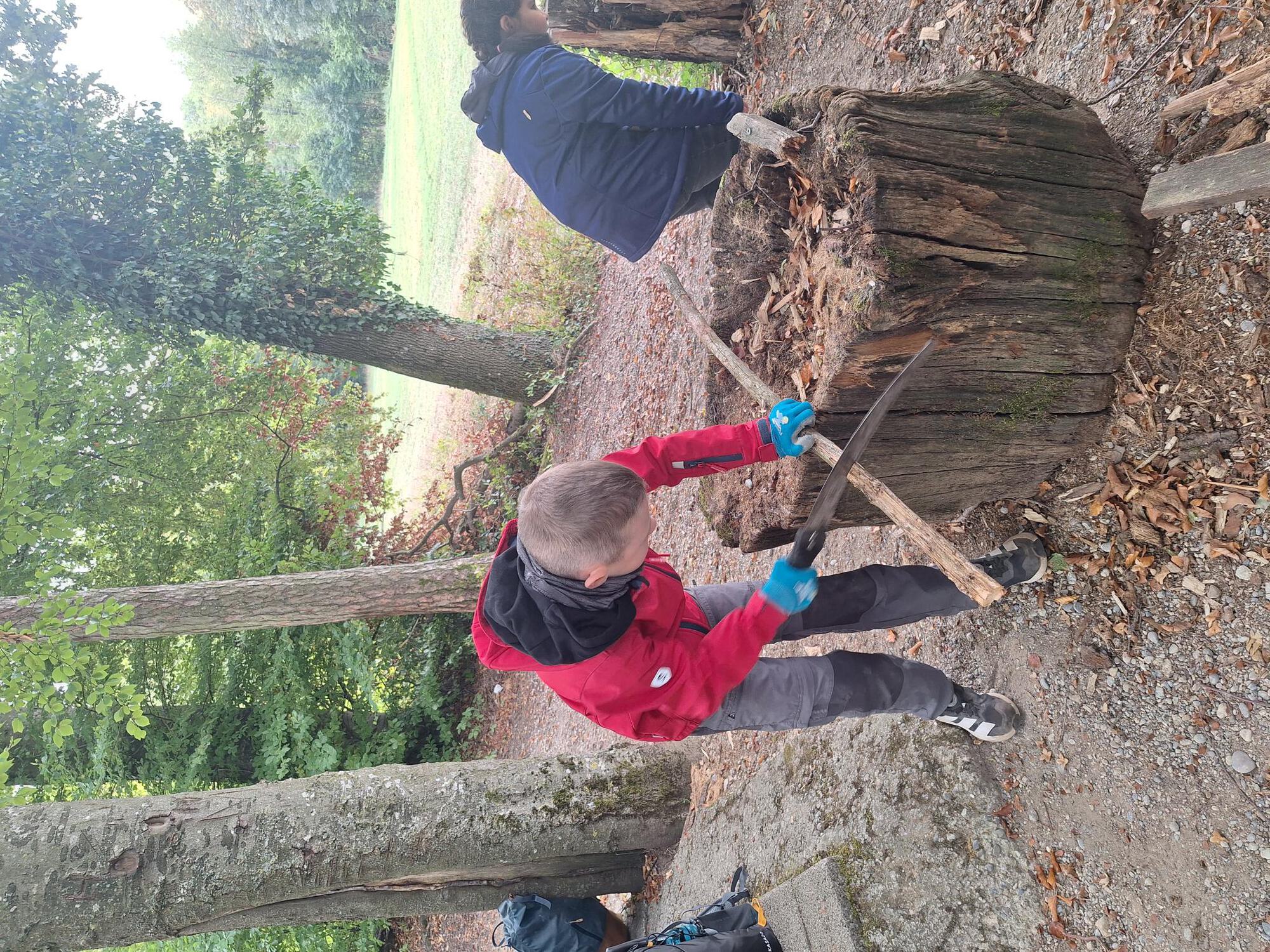 Waldtag - 3. und 4. Klasse