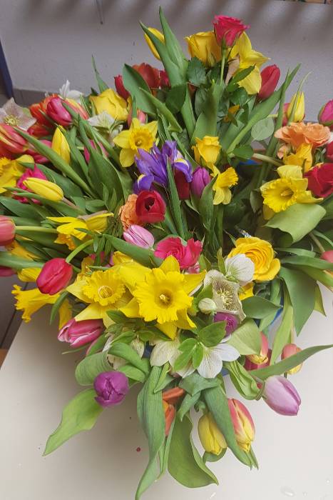 Frühlingseinläuten