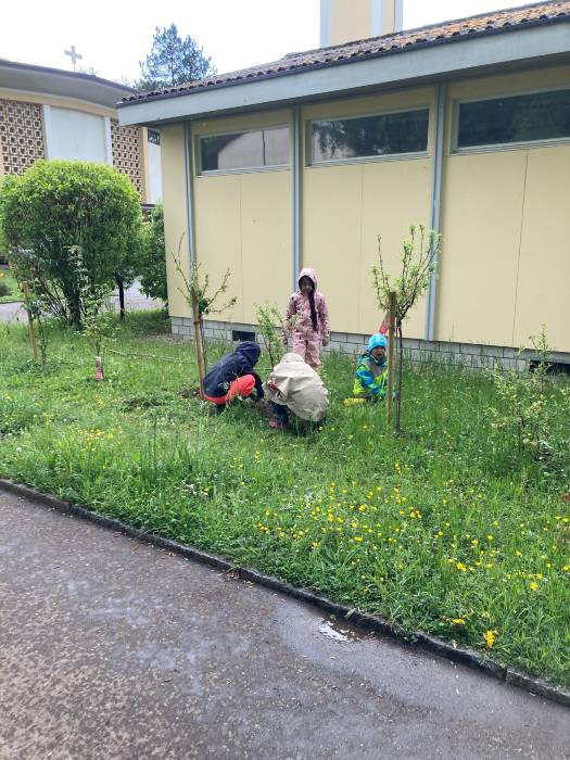 Projekt Schulgarten