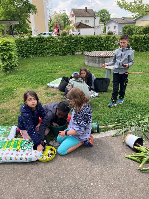 Projekt Schulgarten