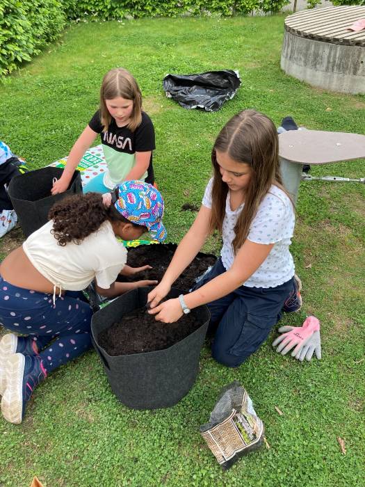 Projekt Schulgarten