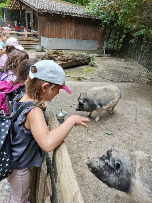 Schulreise in den Zoo Hasel