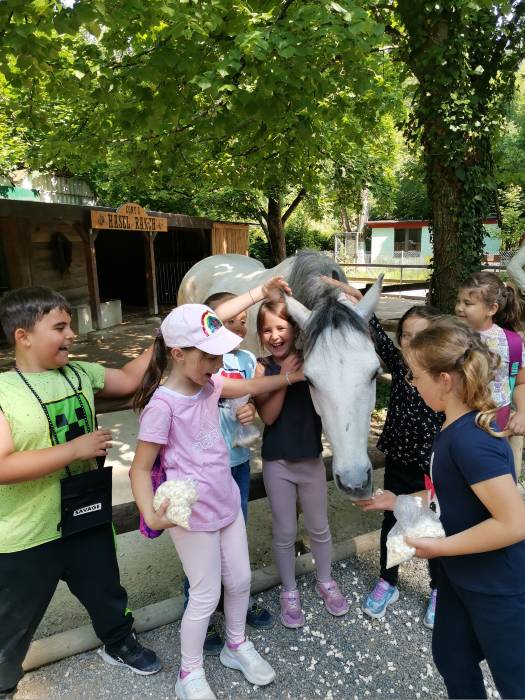 Schulreise in den Zoo Hasel