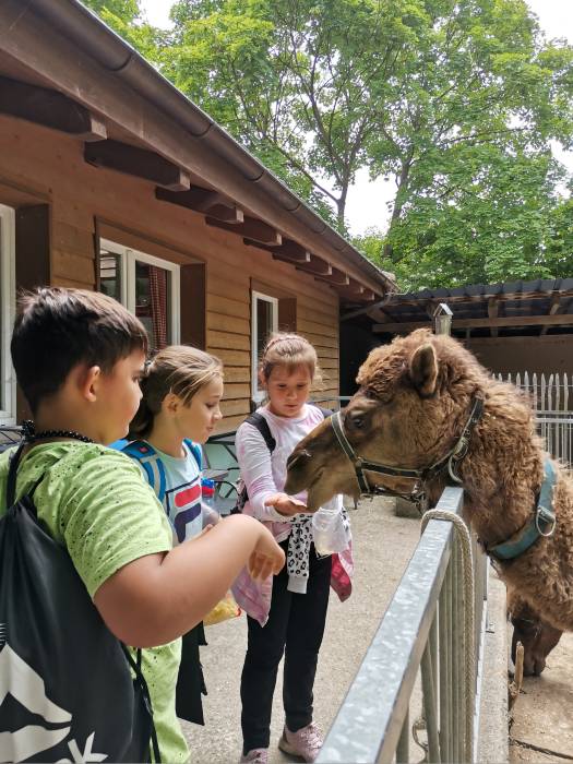 Schulreise in den Zoo Hasel