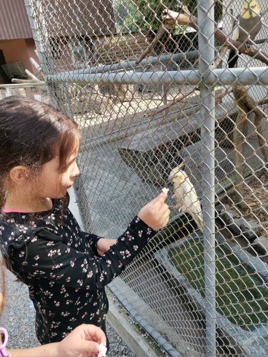 Schulreise in den Zoo Hasel