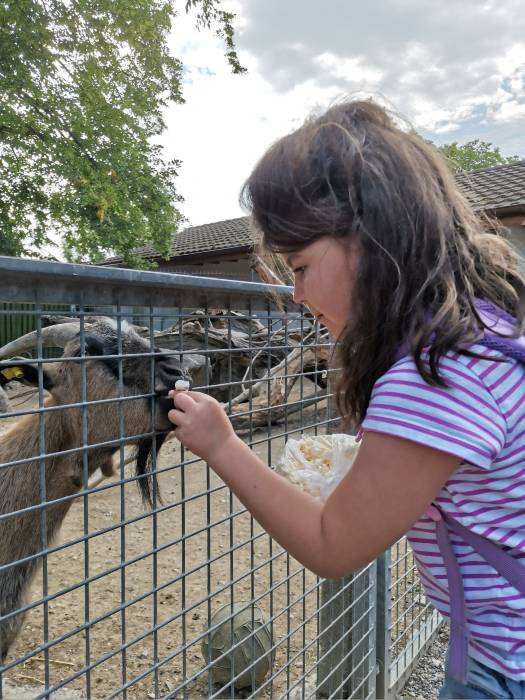 Schulreise in den Zoo Hasel