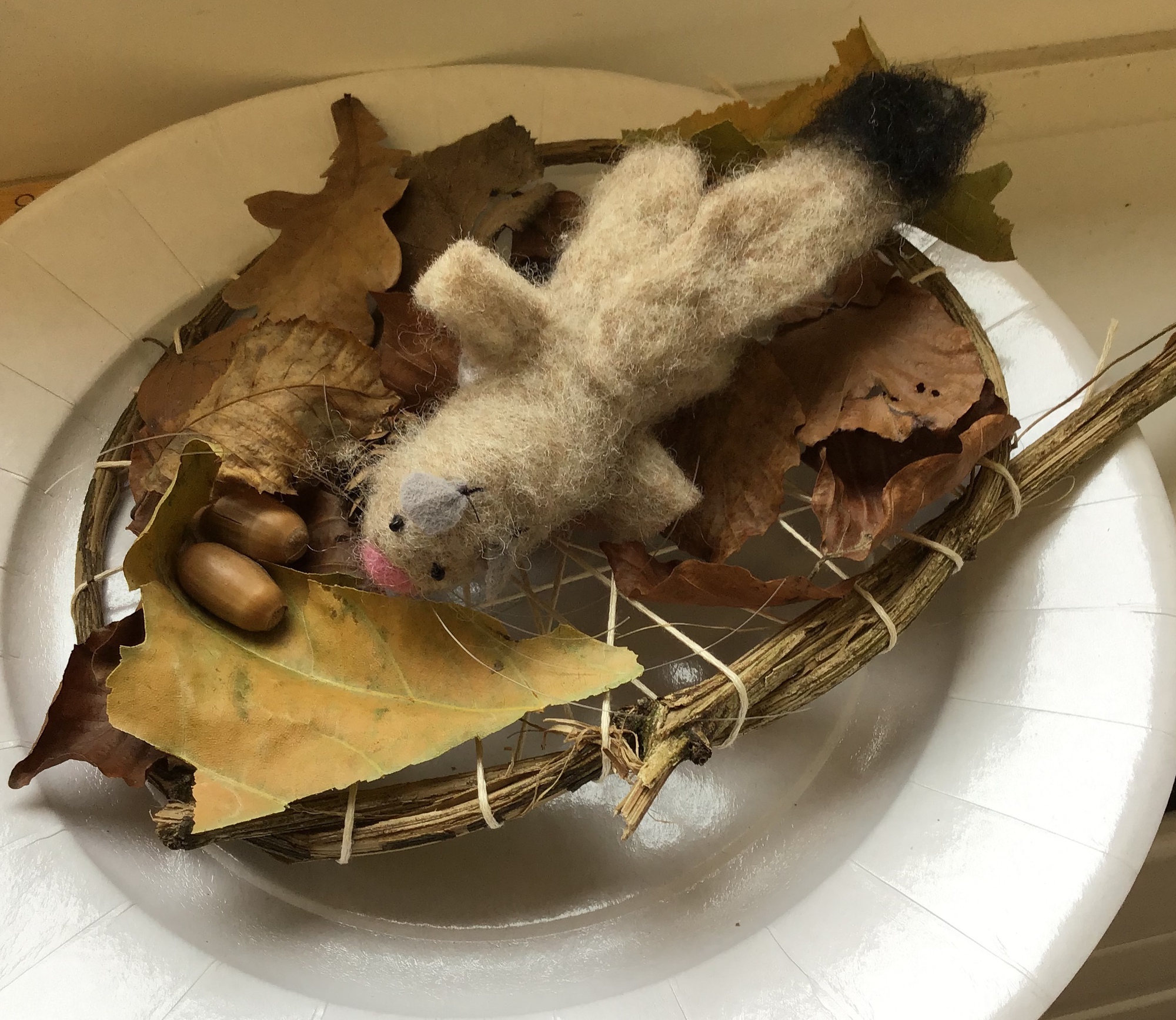 Siebenschläfer Glisglis