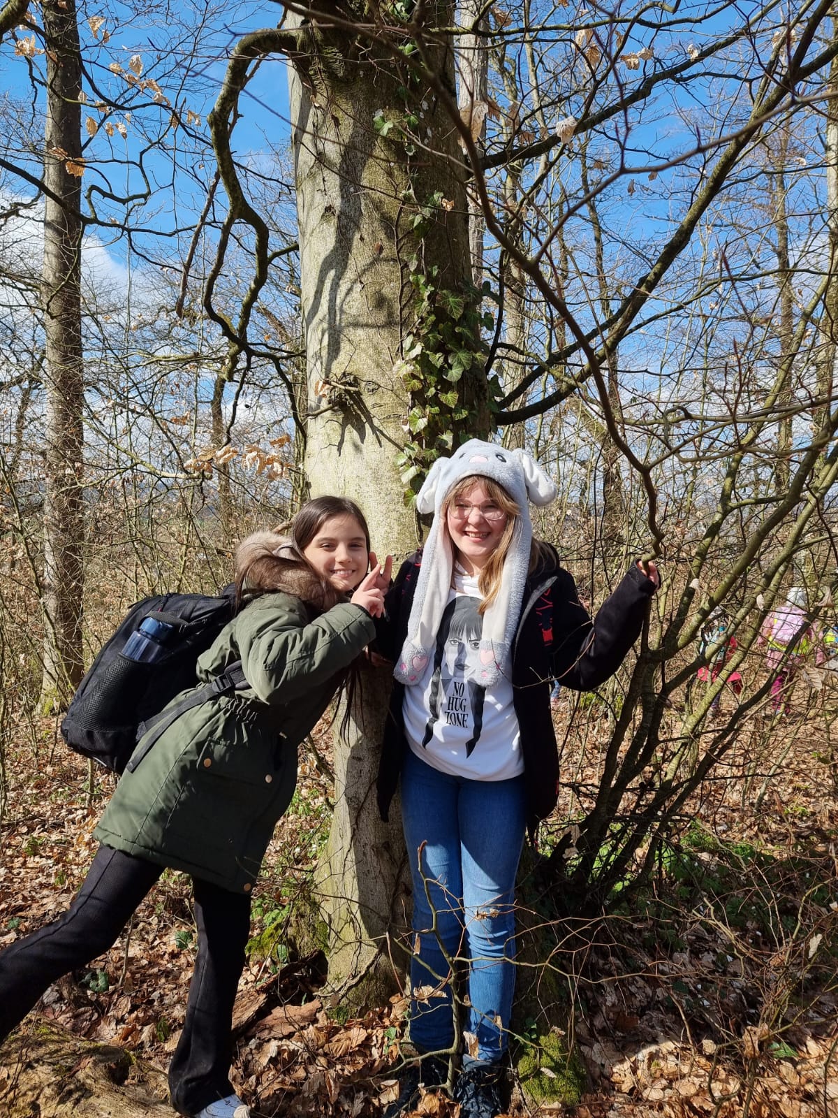 Waldbesuch im Frühling