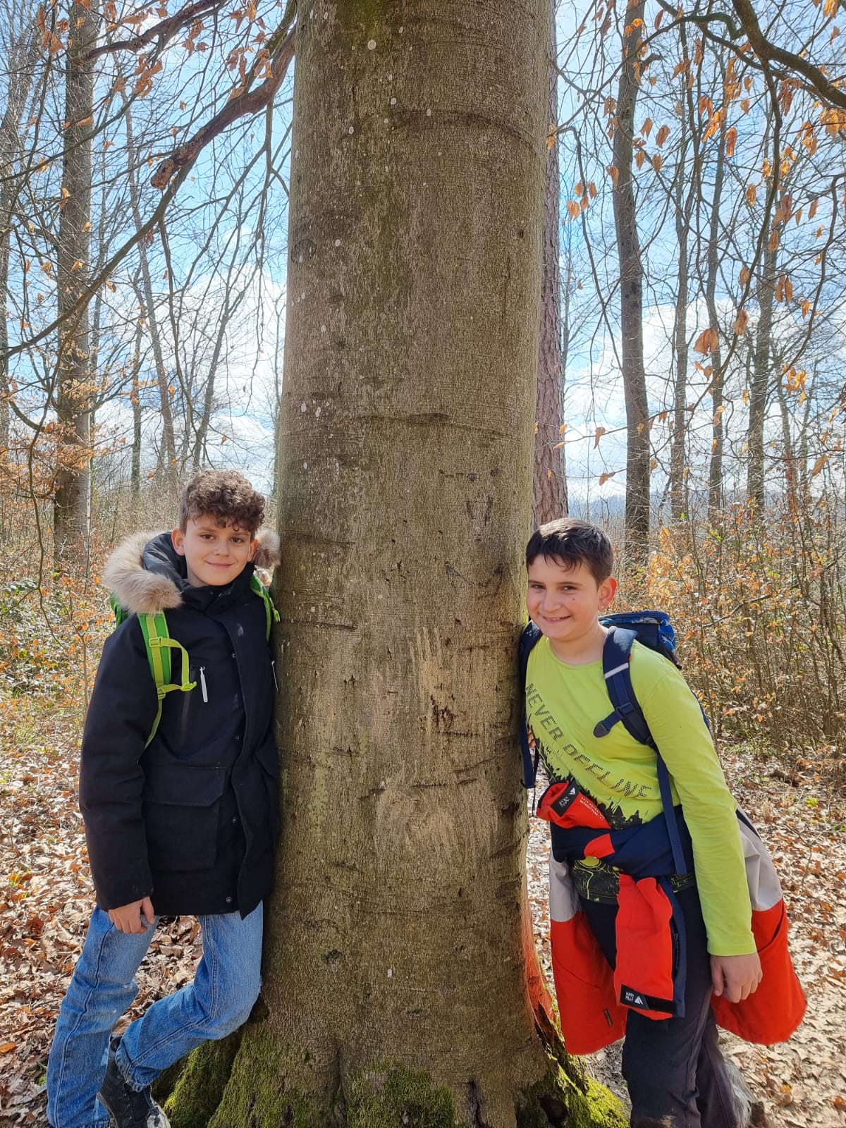 Waldbesuch im Frühling