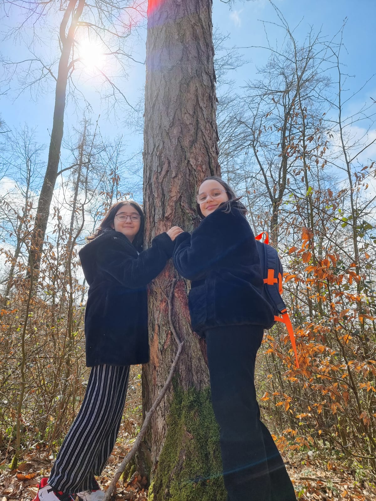 Waldbesuch im Frühling