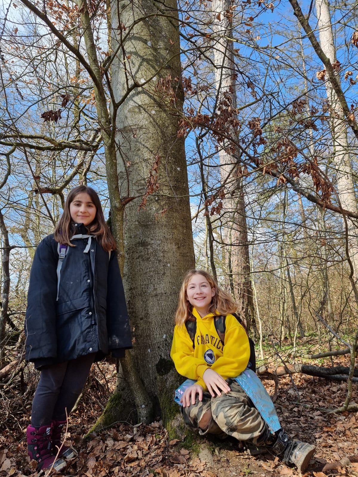 Waldbesuch im Frühling