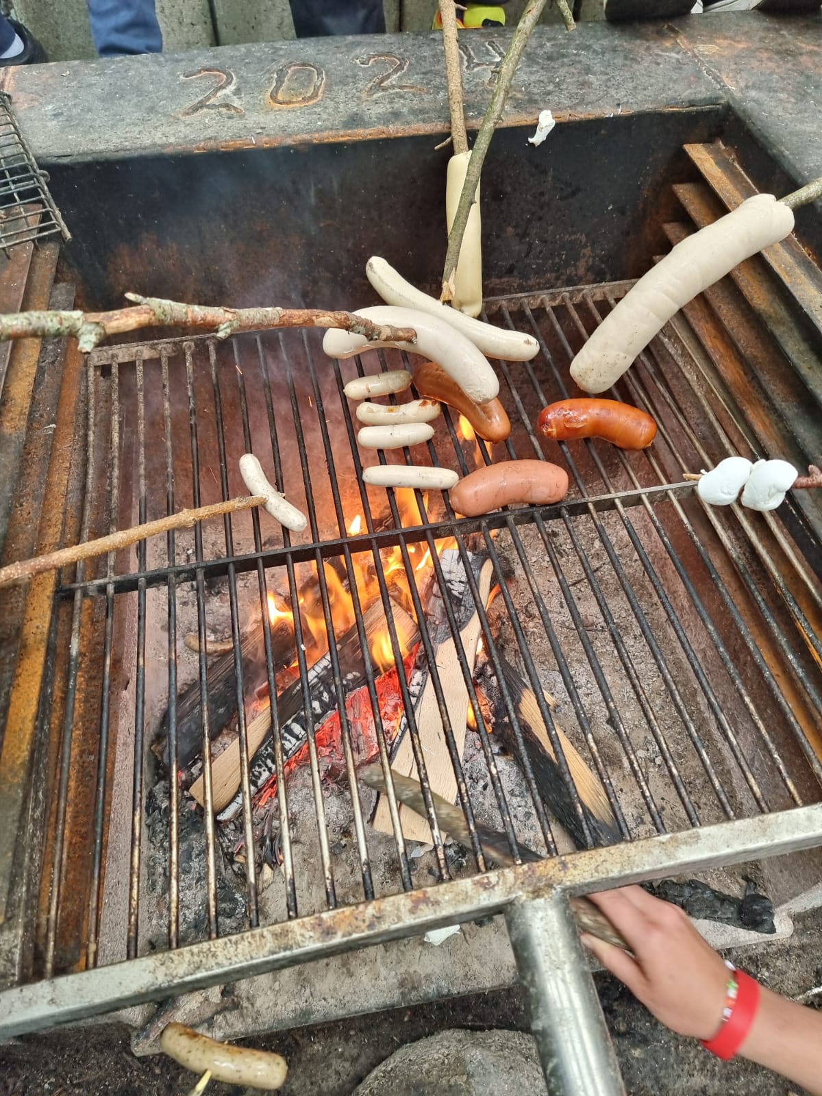 Waldtag 2. + 3. Klasse